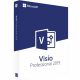 Microsoft Visio Professional 2019 (2 Devices / Lifetime)