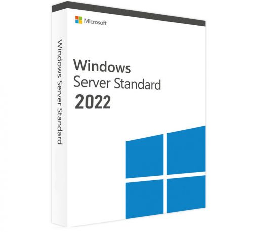 Microsoft Windows Server 2022 Standard (1 Device)