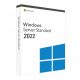 Microsoft Windows Server 2022 Standard (1 Device)