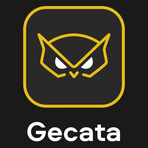 Gecata by Movavi 6 - Streaming and Game Recording Software (Steam) (1 Device / Lifetime)