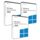 Microsoft Windows Server 2022 Standard (2 Users) + 2022 RDS User CAL (50 Users) + 2022 RDS Device CAL (50 Devices) Business 22